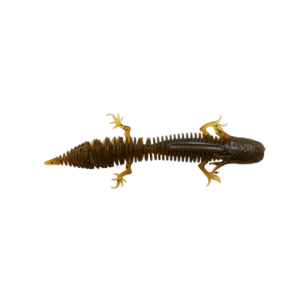 ned salamander