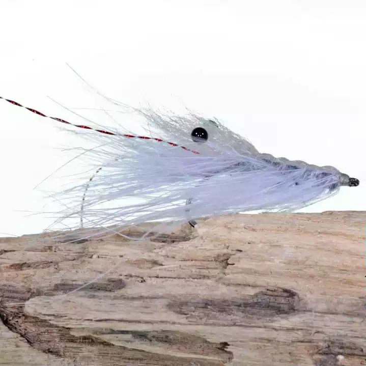 Kustfluga Pattegrisen