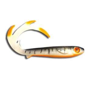 Kanalgratis Flatnose Dragon 26cm
