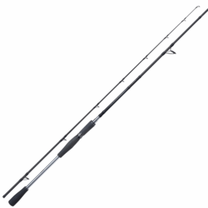 Yasei AX Pike Spinning 2,50m 40-120g