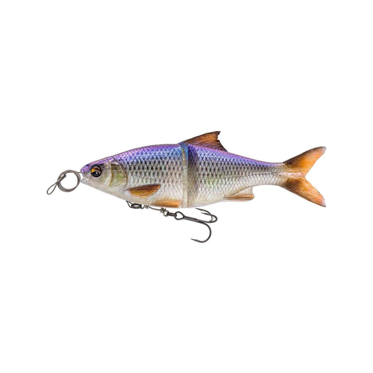 3D Glide Roach Slow Sink 23cm 170g - Bild 2